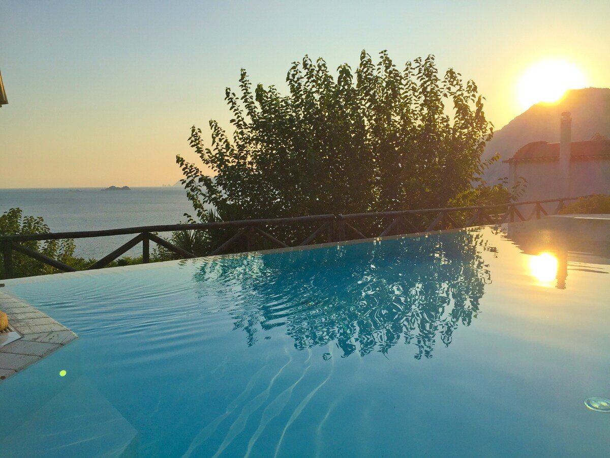 Villa Masa 7 — photograph 6