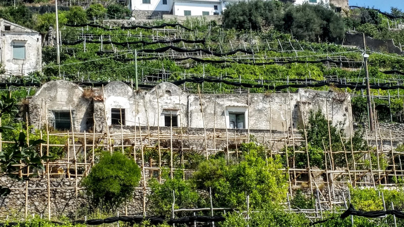 Villa Alma Domus — photograph 9